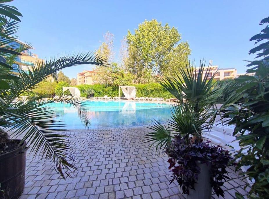 Large Apartment In サニービーチ エクステリア 写真